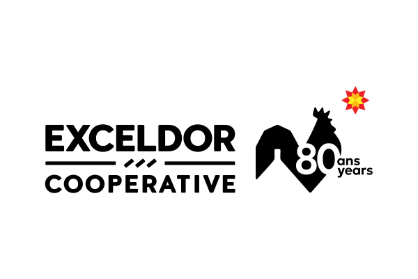 Exceldor