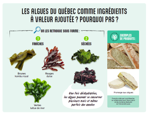 Les algues du Québec comme ingrédients à valeur ajoutée ? Pourquoi pas ?
