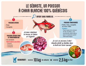 Le sébaste, un poisson à chair blanche 100% québécois