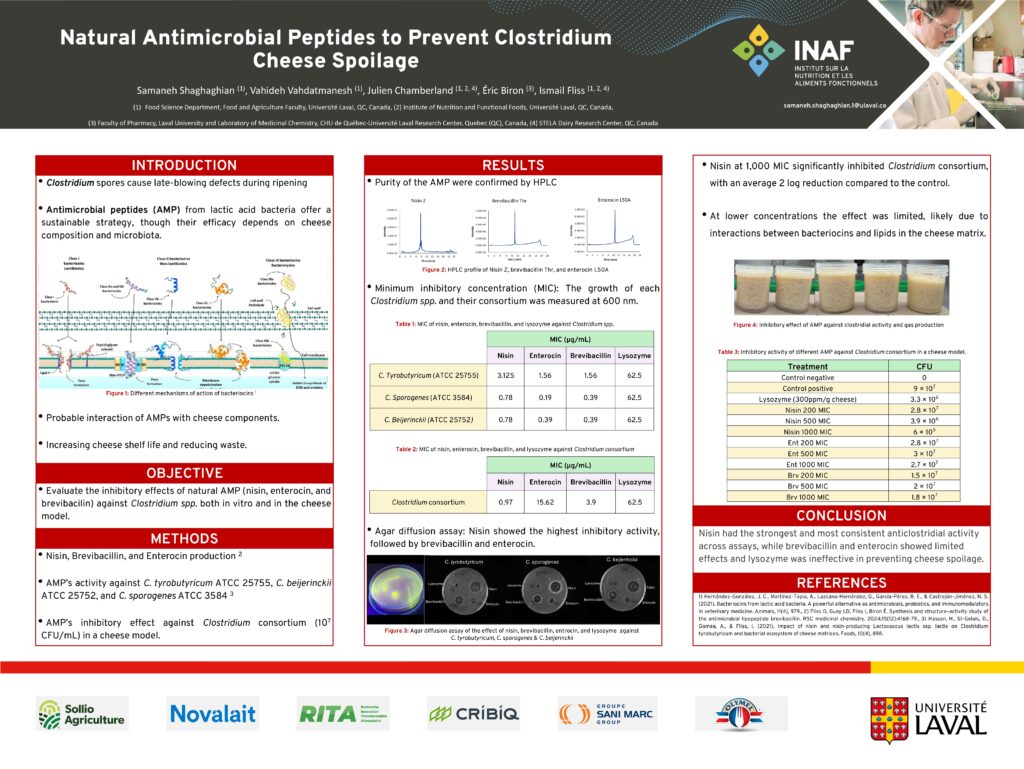 Peptides antimicrobiens naturels pour prévenir l&rsquo;altération du fromage par Clostridium